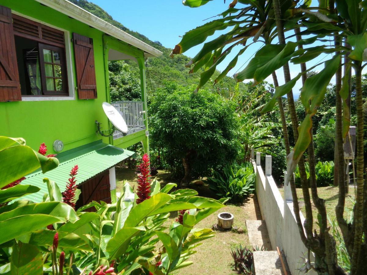 Jardin Bananier Daire Deshaies Dış mekan fotoğraf